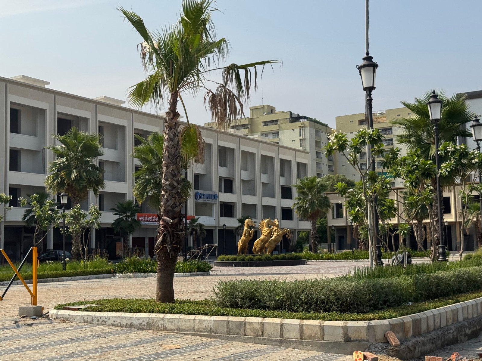 Commercial for rent in Jalandhar